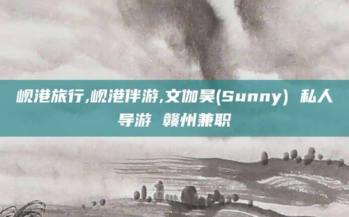 新泰岘港旅行,岘港伴游,文伽昊(Sunny) 私人导游 赣州兼职