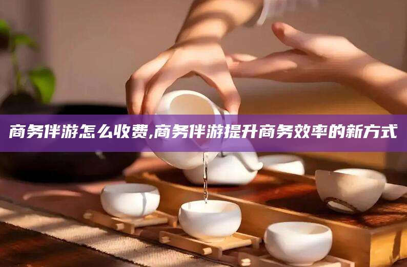 新泰商务伴游怎么收费,商务伴游提升商务效率的新方式